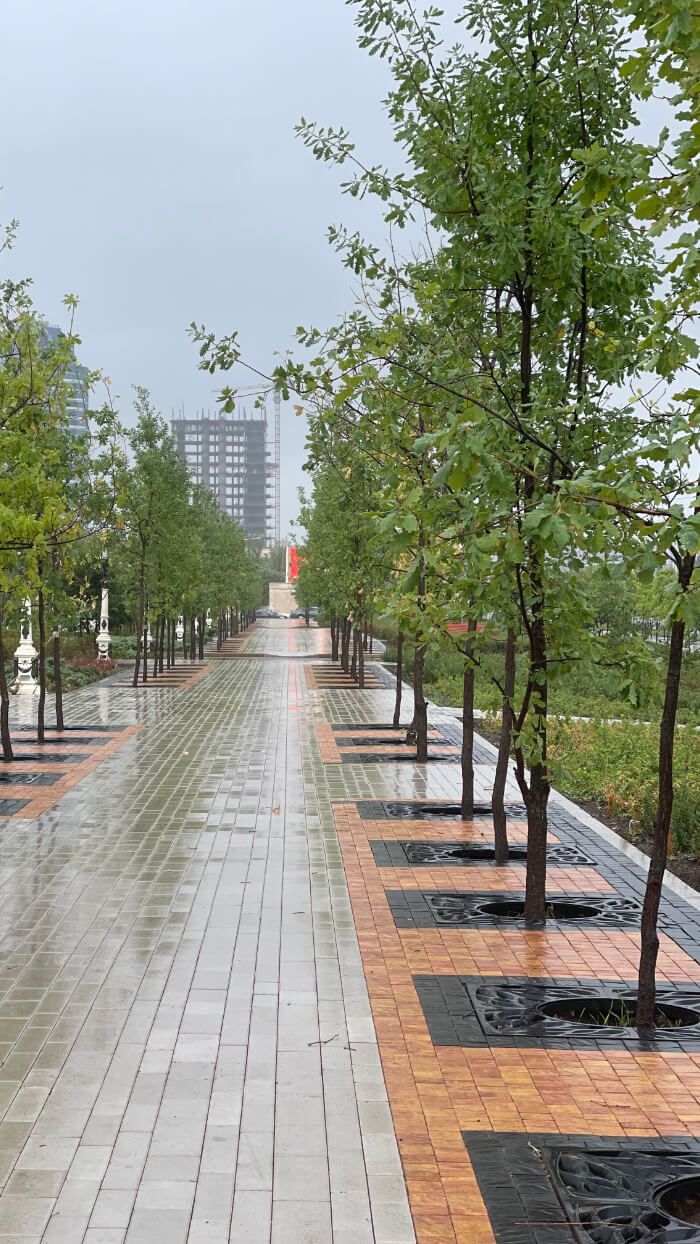 Приствольная решетка для дерева ZKING CRUST 1.2х1.2м Черная в Дзержинске фото