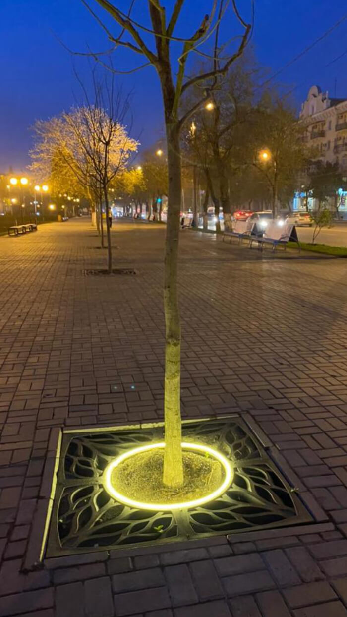 Приствольная решетка для дерева ZKING CRUST 1.2х1.2м Черная в Дзержинске фото